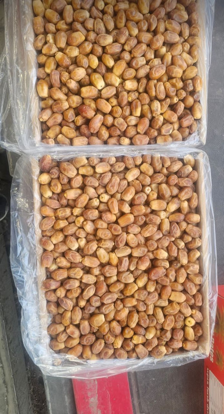 خرمای زاهدی درجه یک عمده