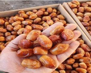 خرما زاهدی عمده با کیفیت عالی