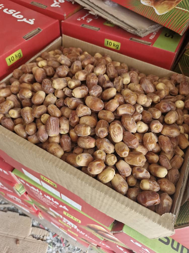 خرما زاهدی صادراتی آرامیس